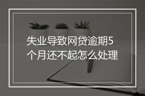 失业导致网贷逾期5个月还不起怎么处理