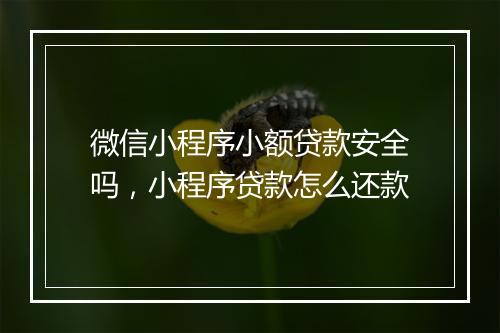微信小程序小额贷款安全吗，小程序贷款怎么还款