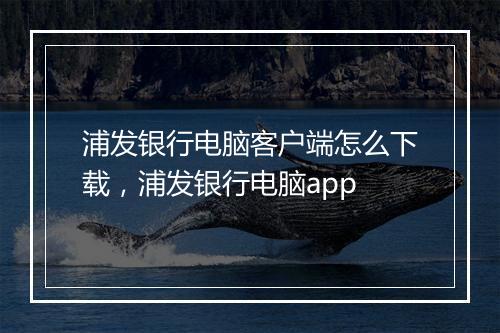 浦发银行电脑客户端怎么下载，浦发银行电脑app