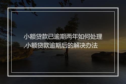 小额贷款已逾期两年如何处理,小额贷款逾期后的解决办法