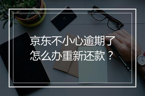 京东不小心逾期了怎么办重新还款？