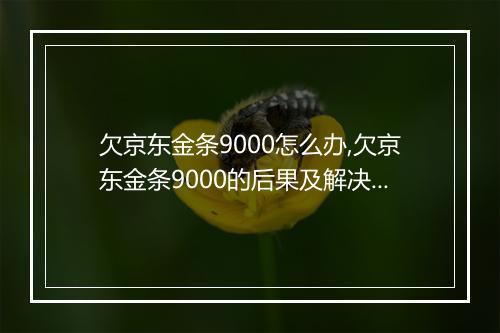 欠京东金条9000怎么办,欠京东金条9000的后果及解决方法