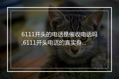 6111开头的电话是催收电话吗,6111开头电话的真实身份解密