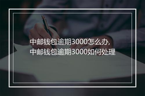 中邮钱包逾期3000怎么办,中邮钱包逾期3000如何处理