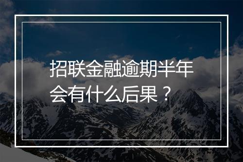 招联金融逾期半年会有什么后果？