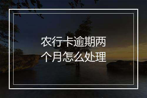 农行卡逾期两个月怎么处理