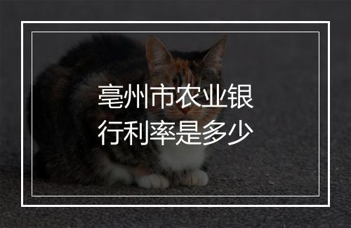 亳州市农业银行利率是多少