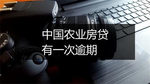 中国农业房贷有一次逾期