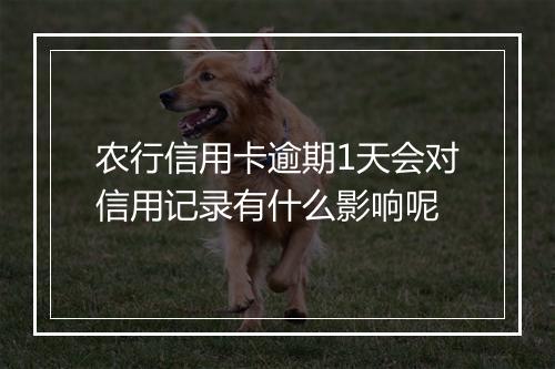 农行信用卡逾期1天会对信用记录有什么影响呢