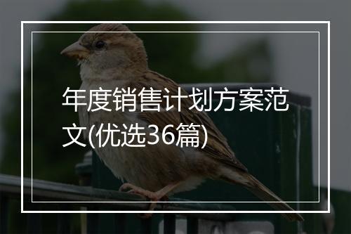 年度销售计划方案范文(优选36篇)