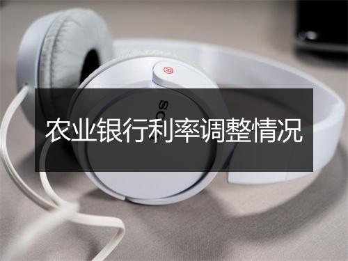 农业银行利率调整情况