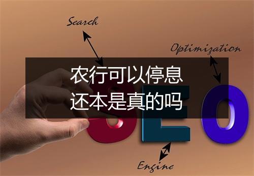 农行可以停息还本是真的吗