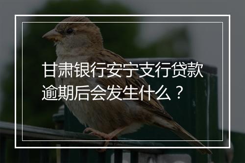 甘肃银行安宁支行贷款逾期后会发生什么？