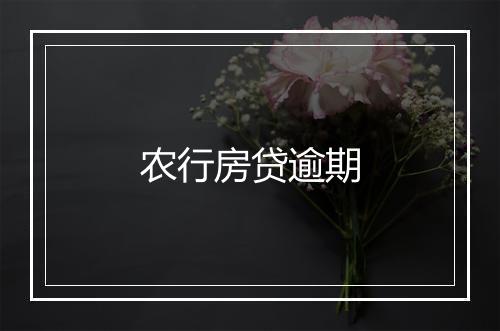 农行房贷逾期