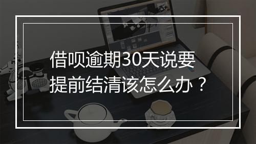 借呗逾期30天说要提前结清该怎么办？