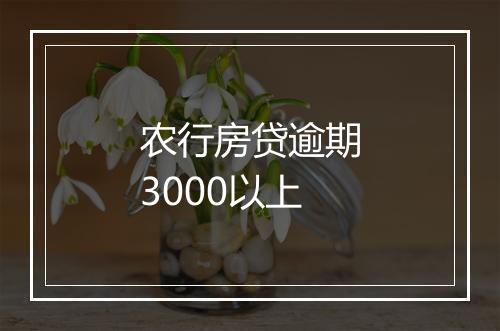 农行房贷逾期3000以上