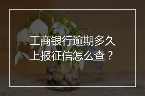 工商银行逾期多久上报征信怎么查？