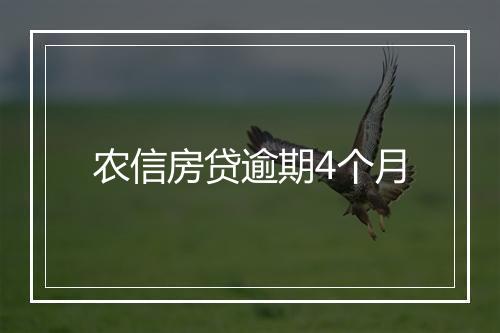 农信房贷逾期4个月