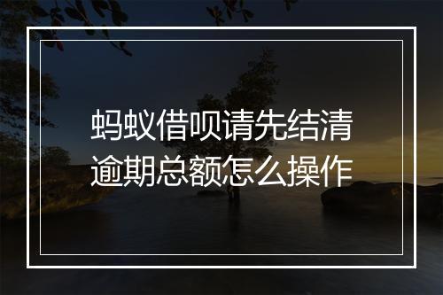 蚂蚁借呗请先结清逾期总额怎么操作