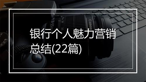 银行个人魅力营销总结(22篇)