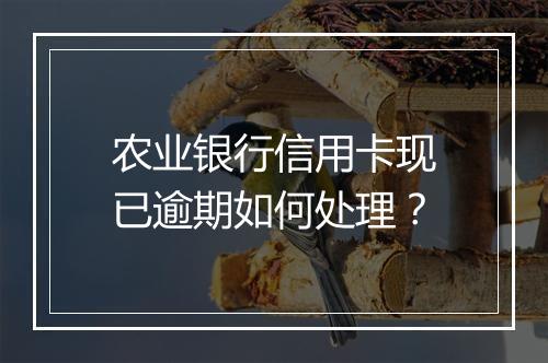 农业银行信用卡现已逾期如何处理？