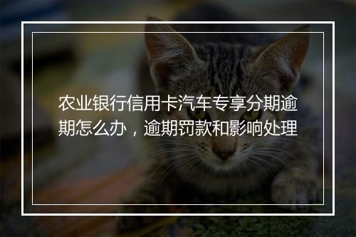 农业银行信用卡汽车专享分期逾期怎么办，逾期罚款和影响处理
