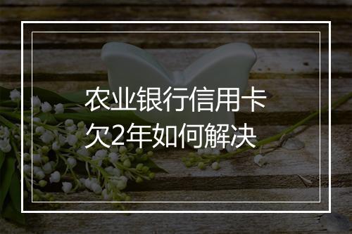 农业银行信用卡欠2年如何解决
