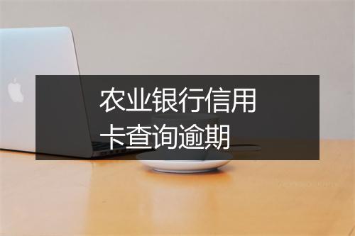 农业银行信用卡查询逾期