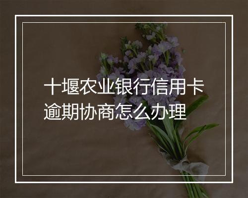 十堰农业银行信用卡逾期协商怎么办理