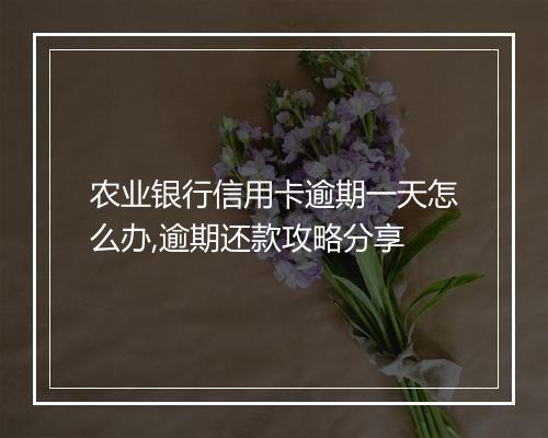 农业银行信用卡逾期一天怎么办,逾期还款攻略分享