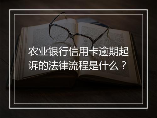 农业银行信用卡逾期起诉的法律流程是什么？