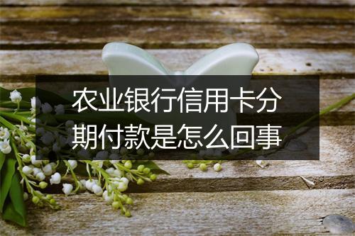 农业银行信用卡分期付款是怎么回事