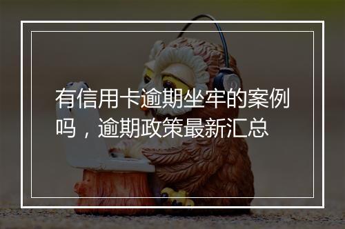 有信用卡逾期坐牢的案例吗，逾期政策最新汇总