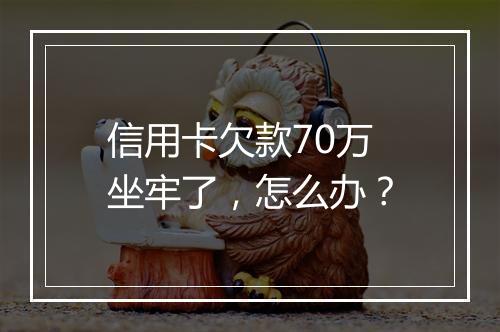 信用卡欠款70万坐牢了，怎么办？