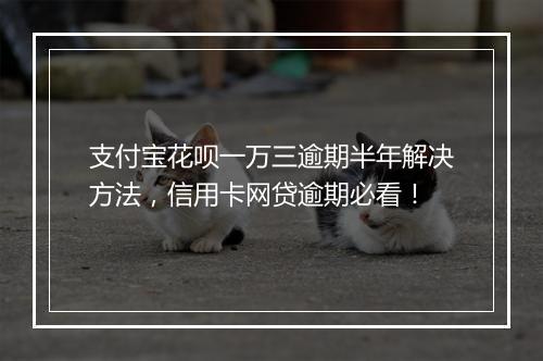 支付宝花呗一万三逾期半年解决方法，信用卡网贷逾期必看！