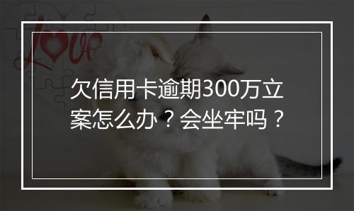 欠信用卡逾期300万立案怎么办？会坐牢吗？