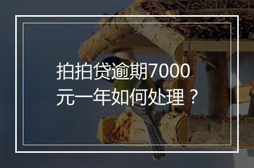 拍拍贷逾期7000元一年如何处理？