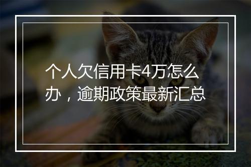 个人欠信用卡4万怎么办，逾期政策最新汇总