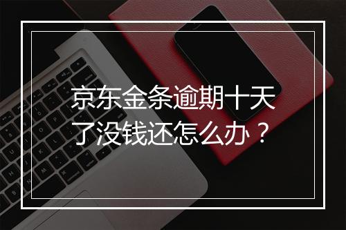 京东金条逾期十天了没钱还怎么办？