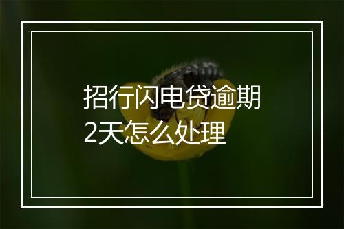 招行闪电贷逾期2天怎么处理
