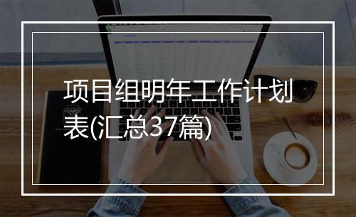 项目组明年工作计划表(汇总37篇)