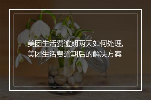 美团生活费逾期两天如何处理,美团生活费逾期后的解决方案