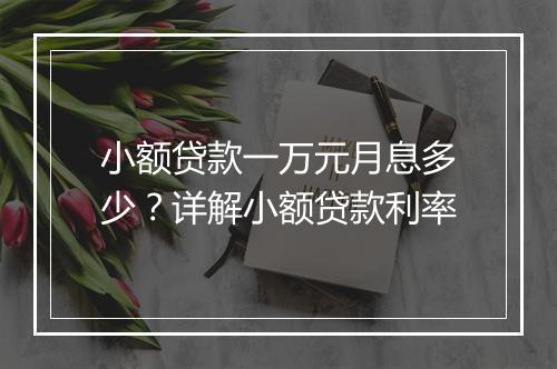 小额贷款一万元月息多少？详解小额贷款利率