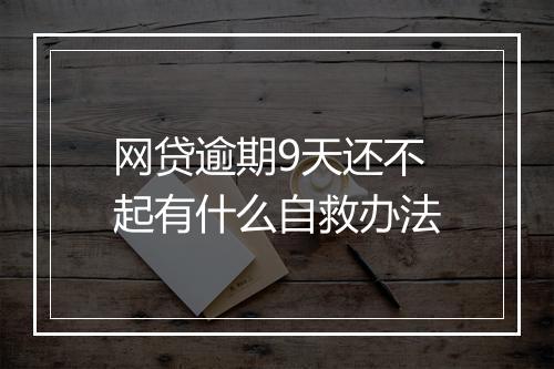 网贷逾期9天还不起有什么自救办法