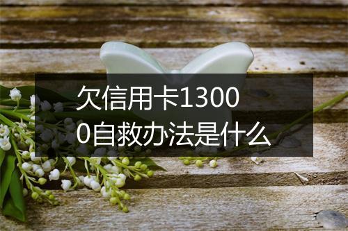 欠信用卡13000自救办法是什么