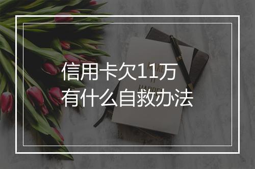 信用卡欠11万有什么自救办法