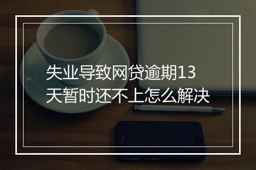失业导致网贷逾期13天暂时还不上怎么解决