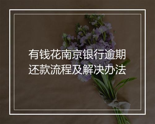 有钱花南京银行逾期还款流程及解决办法
