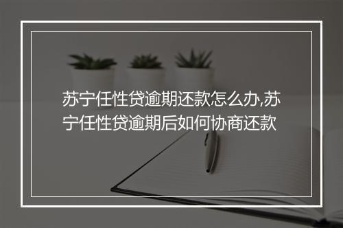 苏宁任性贷逾期还款怎么办,苏宁任性贷逾期后如何协商还款