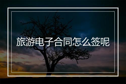 旅游电子合同怎么签呢